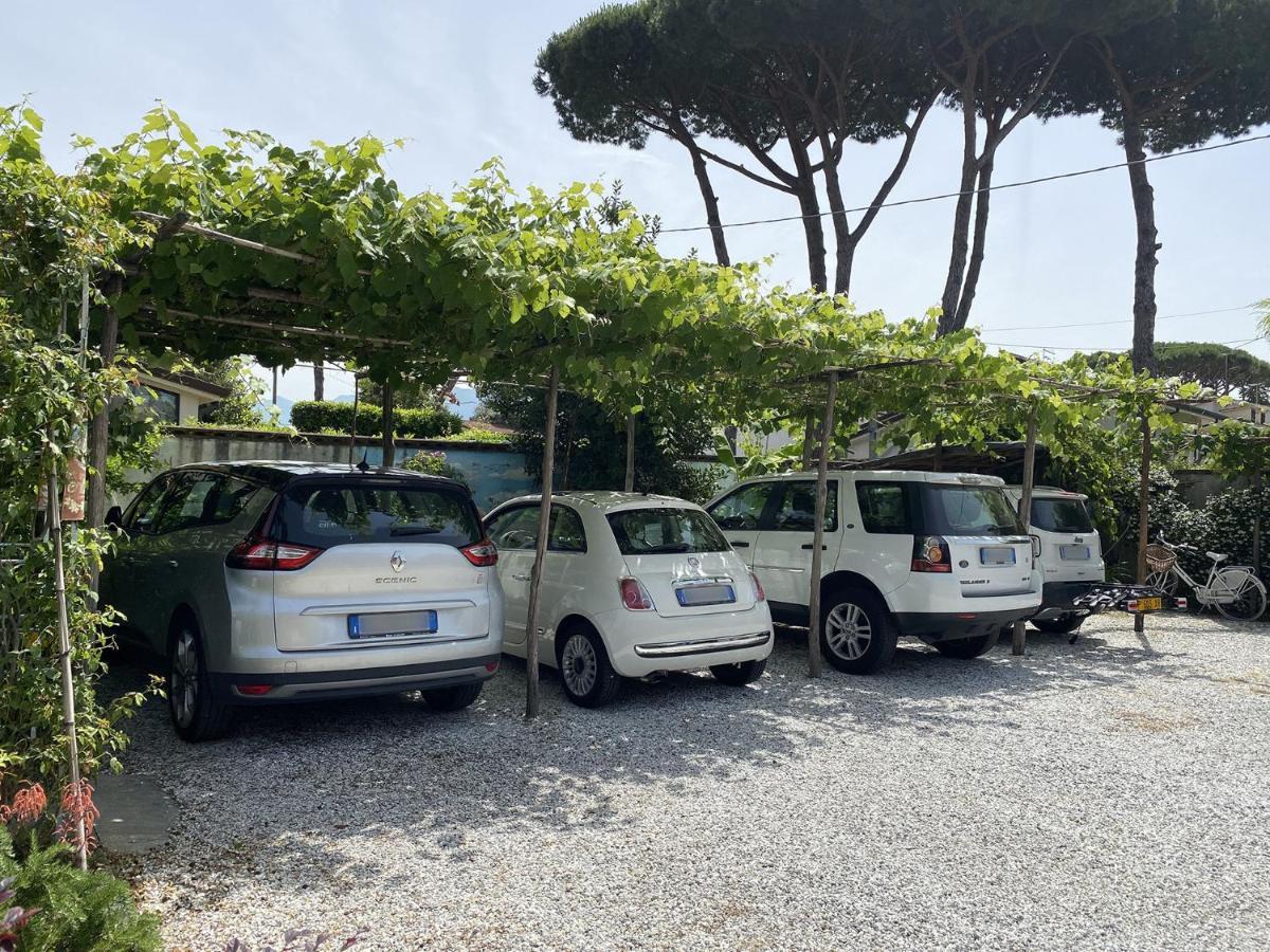 B&B Due Passi Dal Mare Cinquale Zewnętrze zdjęcie