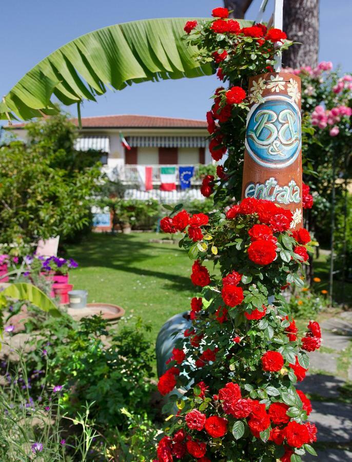 B&B Due Passi Dal Mare Cinquale Zewnętrze zdjęcie