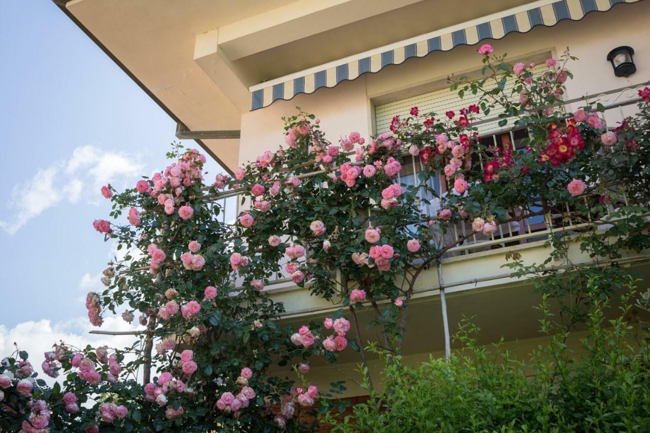 B&B Due Passi Dal Mare Cinquale Zewnętrze zdjęcie